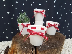 8.5cm Christmas Ribbon Pot - Empty (6)